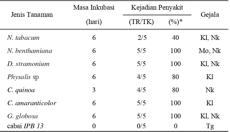 Tabel 6  Hasil uji kisaran inang ORSV melalui penularan secara mekanis. 