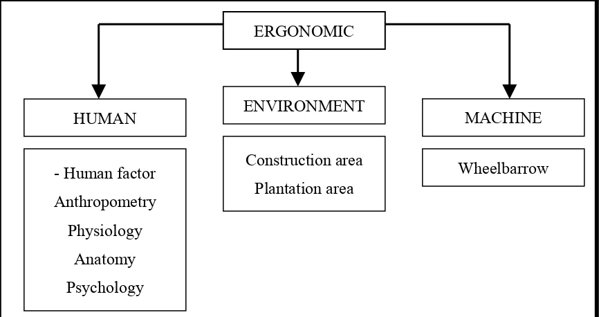 Figure 2.1: The Relationship of Ergonomic (Hamzah, N.F, 2007)
