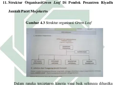 Tabel 4.1 Posisi Jabatan Dan Tanggung Jawab Green Leaf di  Pondok Pesantren Riyadlul Jannah Pacet Mojokerto 