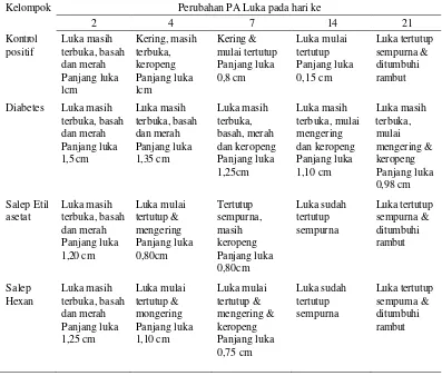 Tabel 1.Perubahan Patologi Anatomi kulit mencit yang diinduksi diabetes 