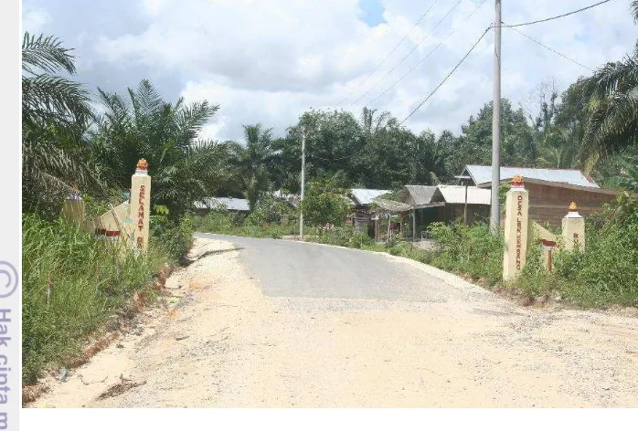 Gambar 8. Jalan Desa Lubuk Kembang Bunga Kecamatan Ukui Pelalawan 