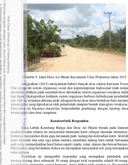 Gambar 9. Jalan Desa Air Hitam Kecamatan Ukui Pelalawan tahun 2015 