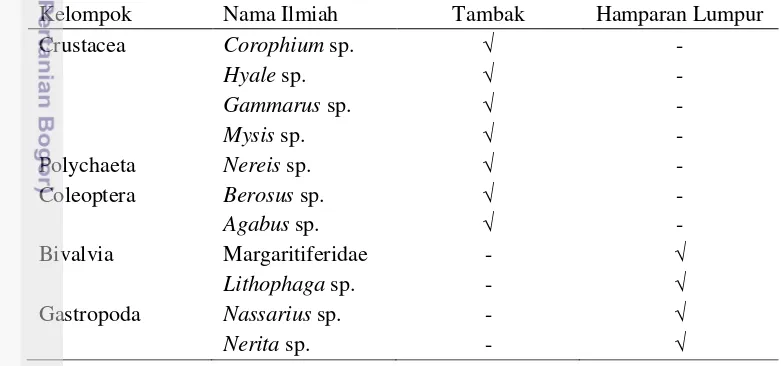 Tabel 3 Jenis-jenis makrozoobentos yang terdapat di lahan basah Wonorejo 