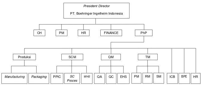 Gambar 4. Struktur organisasi PT. Boehringer Ingelheim Indonesia pada tahun 2009