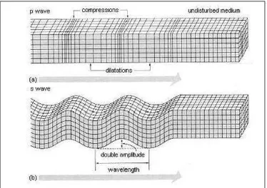 Gambar 6. Ilustrasi pergerakan gelombang P dan gelombang S (Kramer,1996). 