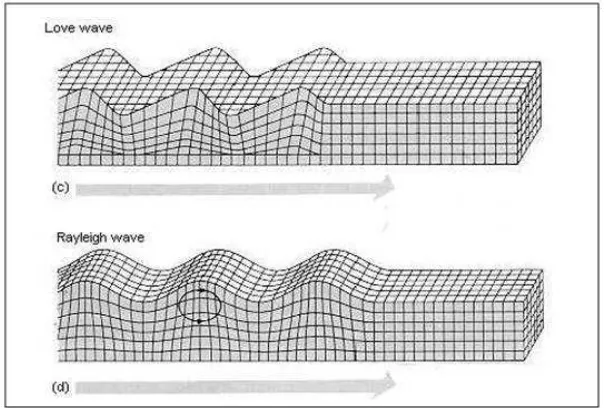 Gambar 7. Ilustasi Gelombang Love (atas) dan Gelombang Rayleigh (bawah) (Kramer, 1996)