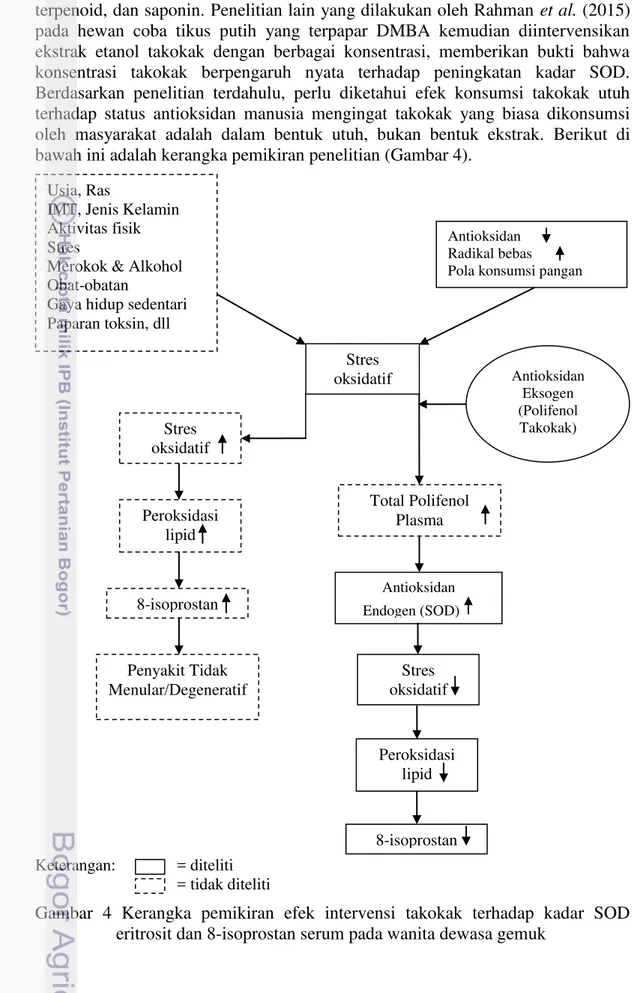 Gambar  4  Kerangka  pemikiran  efek  intervensi  takokak  terhadap  kadar  SOD  eritrosit dan 8-isoprostan serum pada wanita dewasa gemuk 