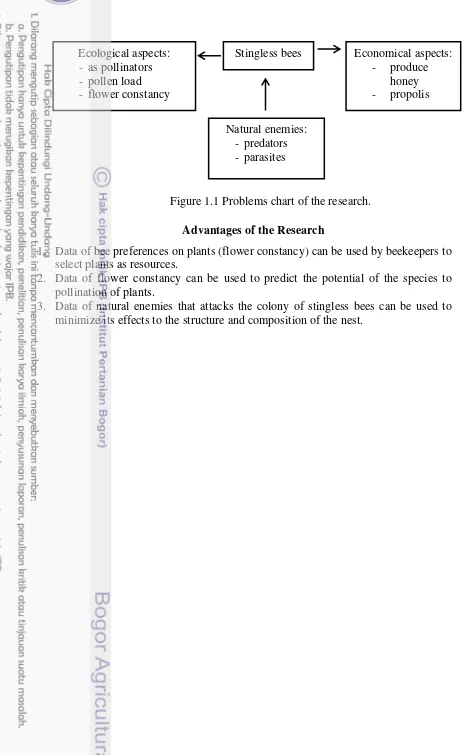 Figure 1.1 Problems chart of the research.   