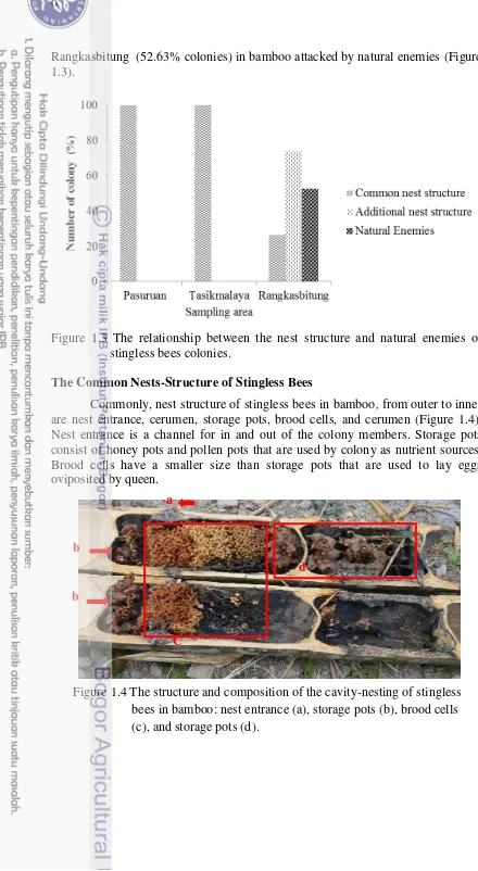 Figure 1.3 The relationship between the nest structure and natural enemies of    