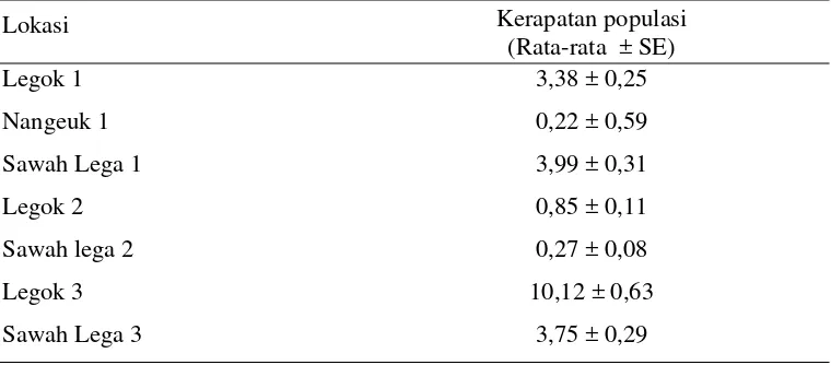 Tabel 4  Rataan kerapatan populasi T. parvispinus (ekor/daun)  