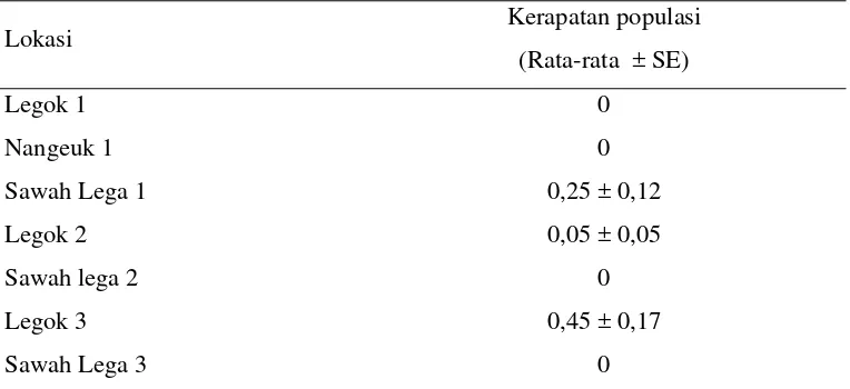 Tabel 6  Rataan kerapatan populasi D. indica (ekor/tanaman) pada lahan survei 