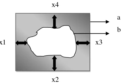 Gambar 4  Penampang contoh uji yang telah diberikan larutan pereaksi. 