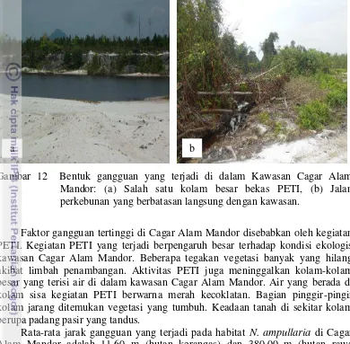 Gambar 12  Bentuk gangguan yang terjadi di dalam Kawasan Cagar Alam  