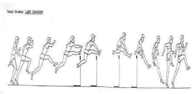 Gambar 01. Tahap Struktur Lari Gawang di aadaptasi dari ( IAAF 2000) 