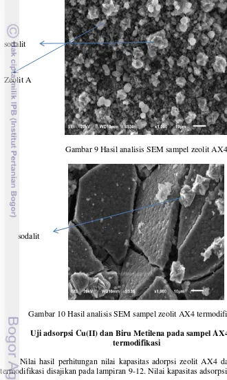 Gambar 9 Hasil analisis SEM sampel zeolit AX4 