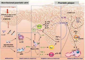 Gambar 2.1 Sel-sel Imun dan Sitokin yang Berperan dalam Pembentukan Plak Psoriasis (Monteleone dkk., 2011; Yassky dan Krueger, 2007)
