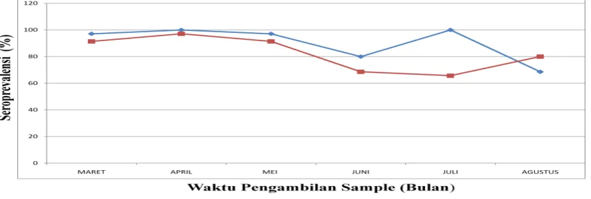 Tabel 1. Seroprevalensi Virus Avian Influenza H5 pada Itik di Pasar Unggas Beringkit dan Galiran dari Bulan Maret sampai Agustus 2012  