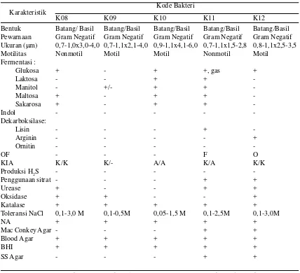 Tabel 6. Karakteristik Isolat  Bakteri Berasosiasi dengan E. cottonii Doty yang MemilikiAktivitas Antimikroba