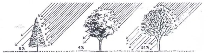 Gambar 7  Pengurangan Tranmisi Cahaya oleh Pohon Sumber: Brooks (1988).  