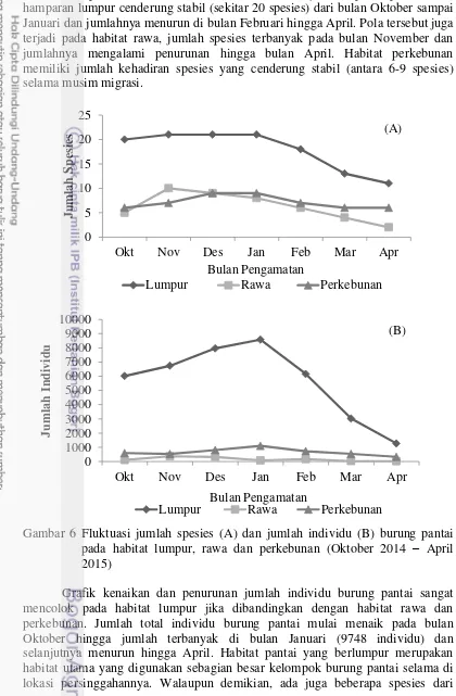 Gambar 6 Fluktuasi jumlah spesies (A) dan jumlah individu (B) burung pantai 