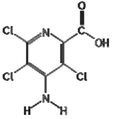 Gambar 3. Struktur Molekul Picloram  