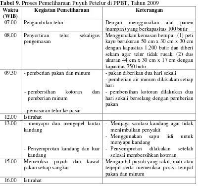 Tabel 9. Proses Pemeliharaan Puyuh Petelur di PPBT, Tahun 2009 