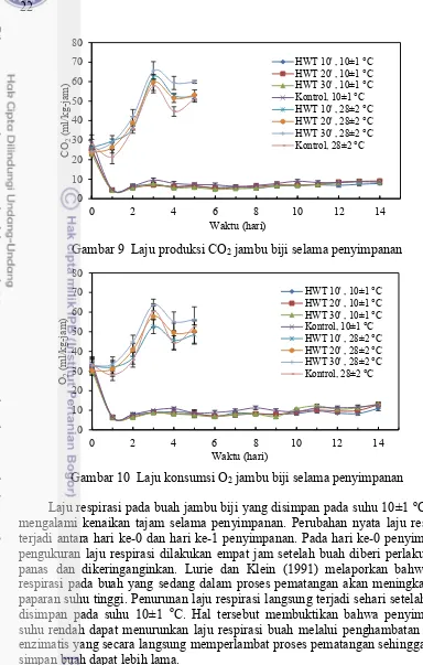 Gambar 9  Laju produksi CO2 jambu biji selama penyimpanan 