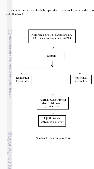 Gambar 1. Tahapan penelitian 