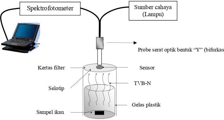 Gambar 5. Rancangan instrumen uji sensor smart packaging berbahan dasar chitosan-asetat, PVA, dan indikator BTB (Byrne 2002)