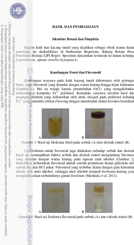 Gambar 1  Hasil uji fitokimia fenol pada serbuk (A) dan ekstrak etanol (B) 