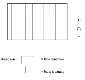 Gambar 6. Penarikan Contoh Pengacakan Baris 