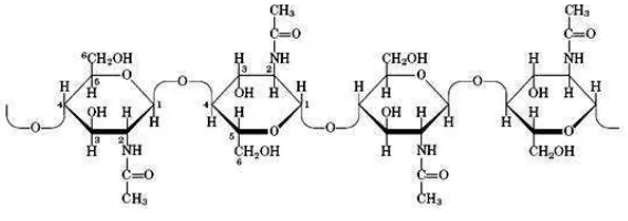 Gambar 1. Struktur kitin (Murray et al., 2003)