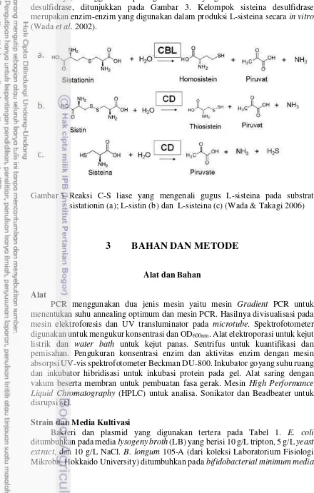 Gambar 3  Reaksi C-S liase yang mengenali gugus L-sisteina pada substrat  