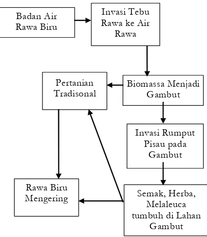 Gambar 4. Proses Ekologis Rawa Biru