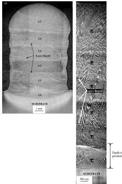 Fig. 3. Etched optical micrographs of a ﬁve layer build in the form of a wall: (a) low magniﬁcation showing entire x-z plane with bands visible between layers; (b) montageof images at higher magniﬁcation showing a section of the y-z plane in which layers, layer bands and columnar dendrites can be clearly seen.