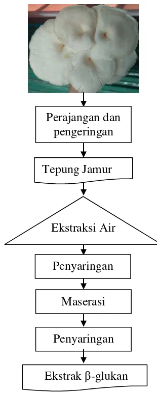 Gambar 1  Diagram alir proses ekstraksi �-glukan 