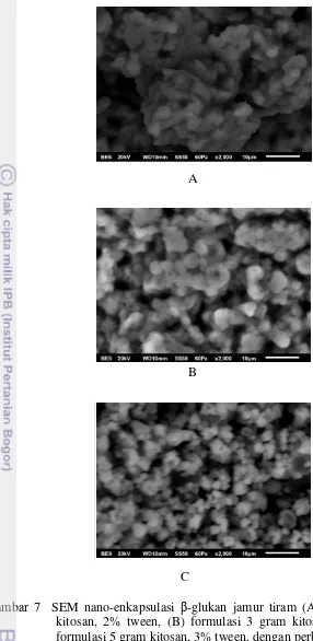 Gambar 7  SEM nano-enkapsulasi �-glukan jamur tiram (A) formulasi 3 gram 