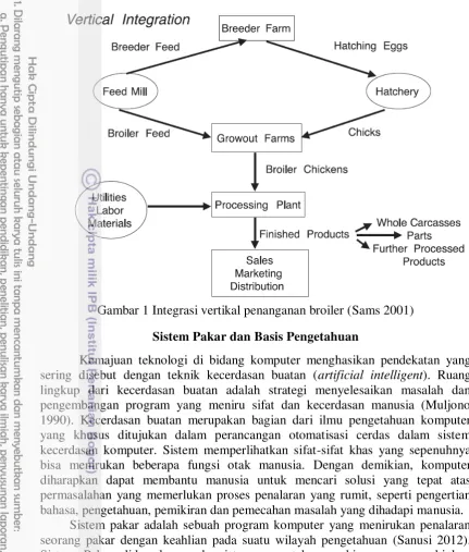 Gambar 1 Integrasi vertikal penanganan broiler (Sams 2001)  