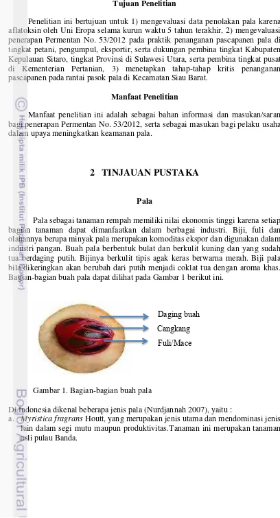 Gambar 1. Bagian-bagian buah pala 