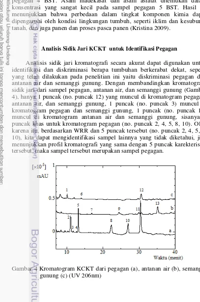 Gambar 4 Kromatogram KCKT dari pegagan (a), antanan air (b), semanggi 