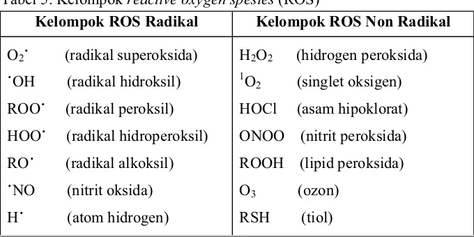 Tabel 5. Kelompok reactive oxygen spesies (ROS)
