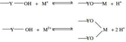 Gambar 3. Mekanisme Adsorpsi (sumber : Yantri, 1998 ) 
