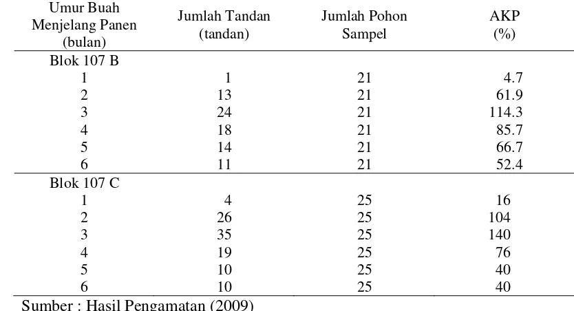 Tabel 5. Hasil Sensus Buah di Blok 107 B dan C Pada Tanggal 15 April 2009 
