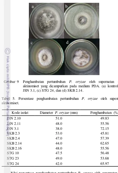 Gambar 9    Penghambatan pertumbuhan P. oryzae oleh supernatan isolat 