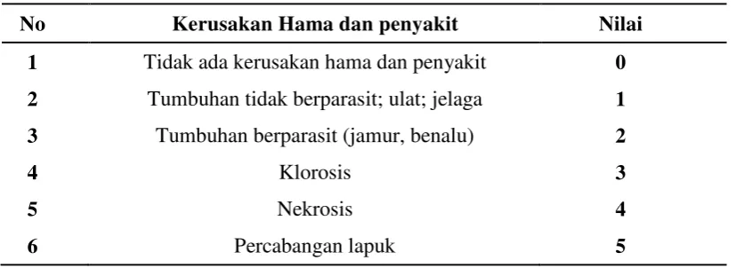 Tabel 5 . Kerusakan Hama dan Penyakit Tanaman pada Cabang dan Daun 