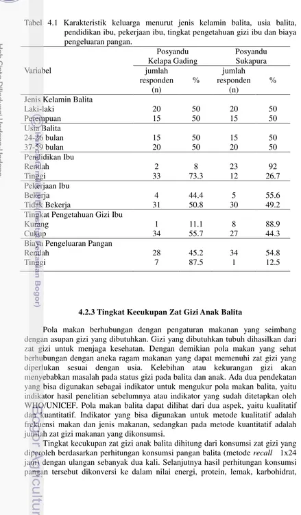 Tabel 4.1 Karakteristik keluarga menurut jenis kelamin balita, usia balita, 