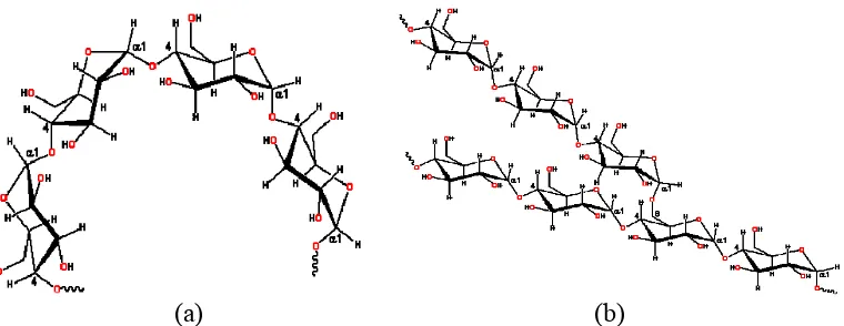 Gambar 4. (a) Struktur amilosa dan (b) struktur amilopektin (Chaplin, 2008) 