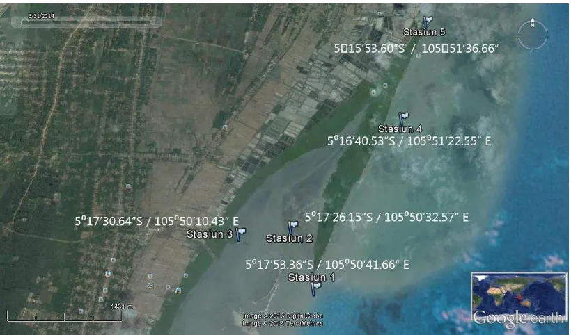 Gambar 1: Titik lokasi pengambilan sampel ikan di Desa Margasari        Lampung timur  Sumber : Google earth 