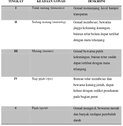 Tabel 1. Klasifikasi tingkat kematangan gonad untuk ikan (Effendie, 2002) 