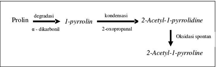 Gambar 2. Diagram Proses Pembentukan Aroma 2-acetyl-1-pyrolline